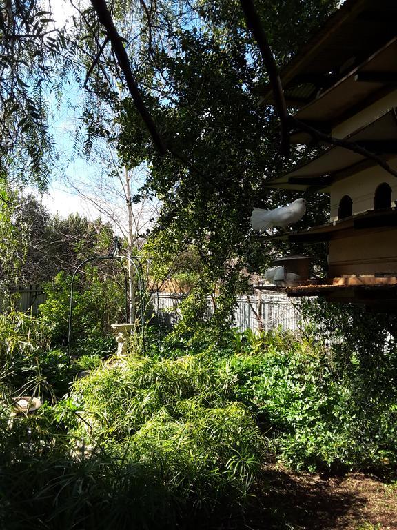 The Dove Cote Bed & Breakfast Tanunda Exterior photo